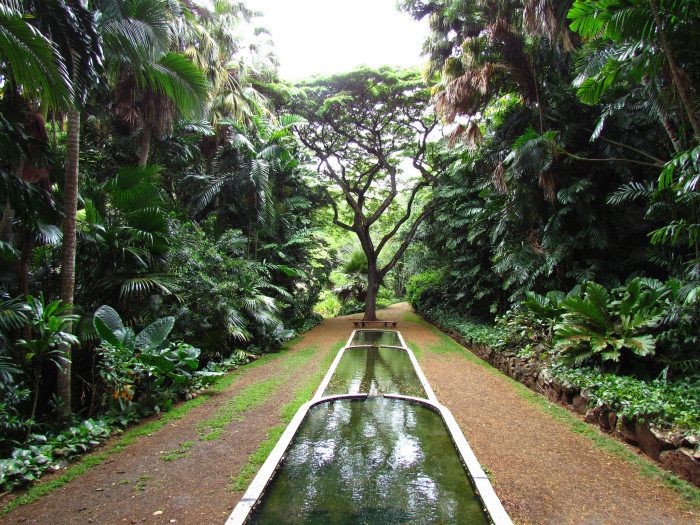 4-Allerton-Garden-Kauai-700x525